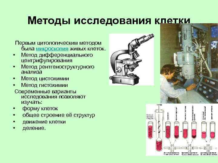 Методы клетки