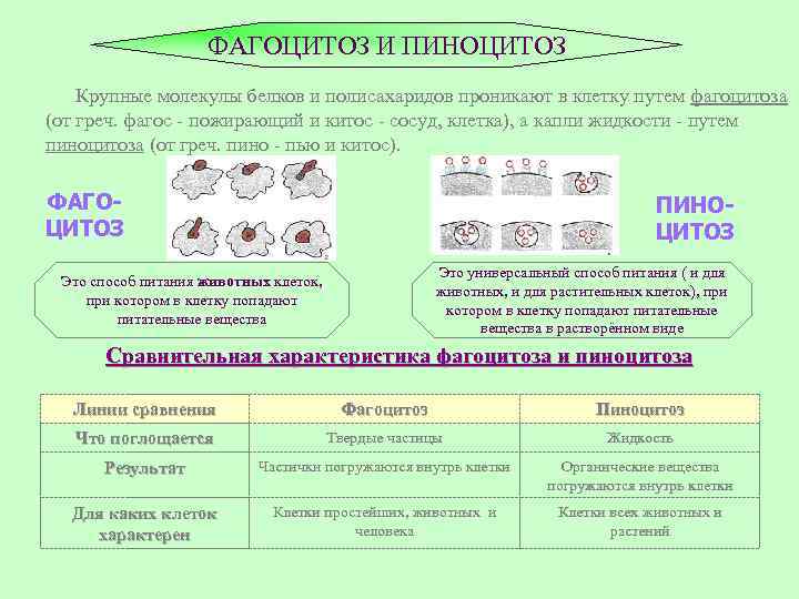 Процесс какого продукта запечатлен на фотографии