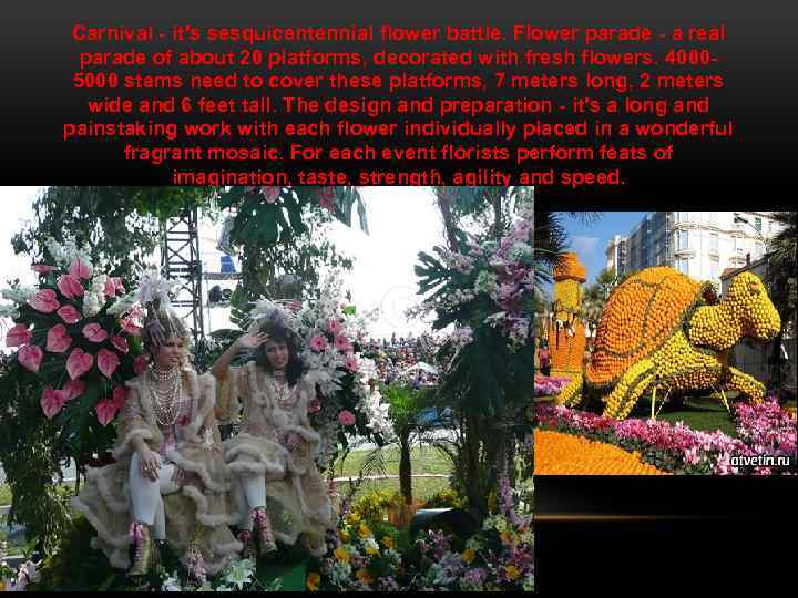 Carnival - it's sesquicentennial flower battle. Flower parade - a real parade of about