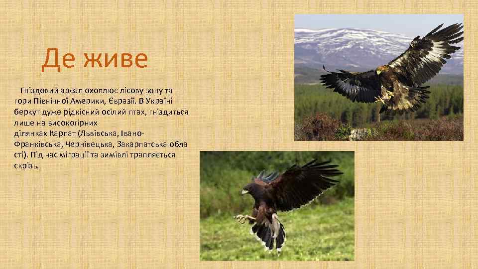 Де живе Гніздовий ареал охоплює лісову зону та гори Північної Америки, Євразії. В Україні