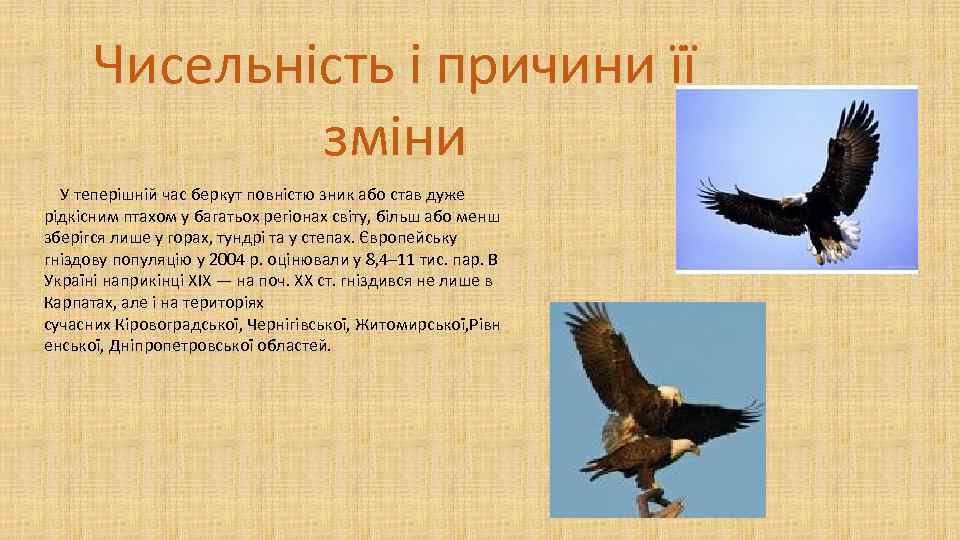 Чисельність і причини її зміни У теперішній час беркут повністю зник або став дуже