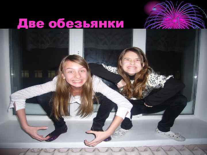 Две обезьянки 