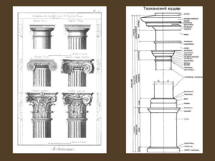 Тосканский ордер чертеж