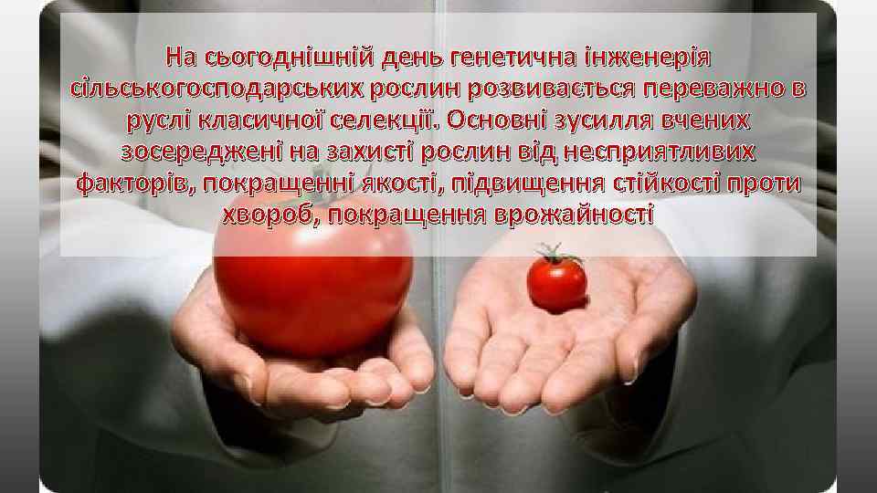 На сьогоднішній день генетична інженерія сільськогосподарських рослин розвивається переважно в руслі класичної селекції. Основні