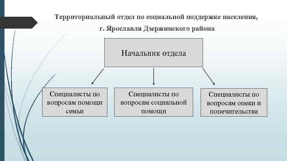 Территориальный отдел по социальной поддержке населения, г. Ярославля Дзержинского района Начальник отдела Специалисты по