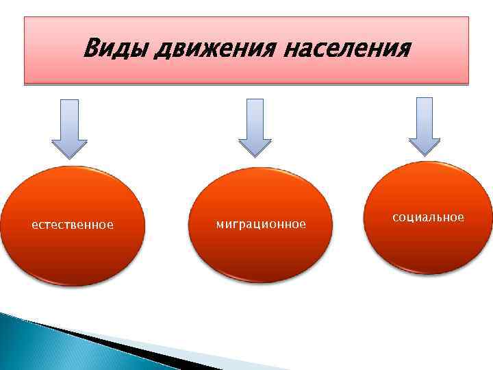 Виды движения населения естественное миграционное социальное 