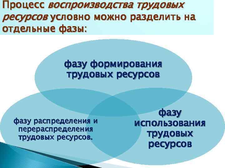 Процесс воспроизводства трудовых ресурсов условно можно разделить на отдельные фазы: фазу формирования трудовых ресурсов