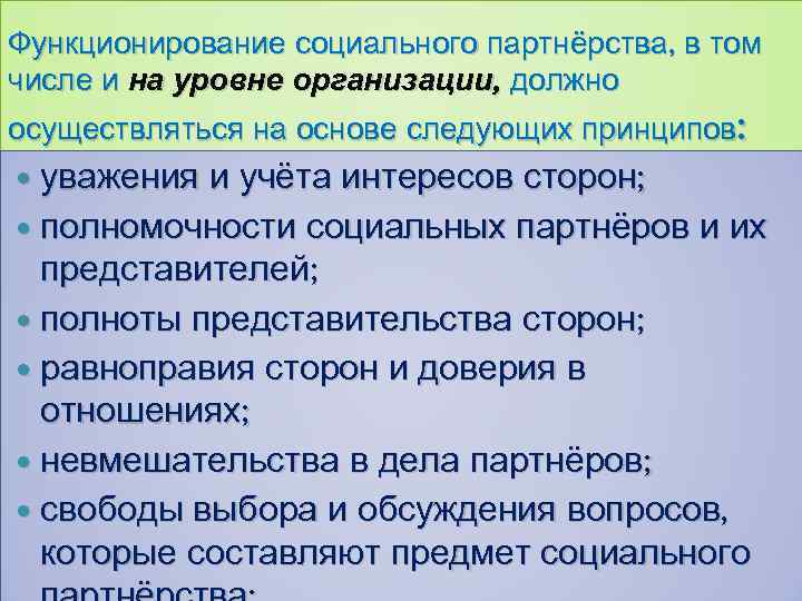 Функционирование социального партнёрства, в том числе и на уровне организации, должно осуществляться на основе