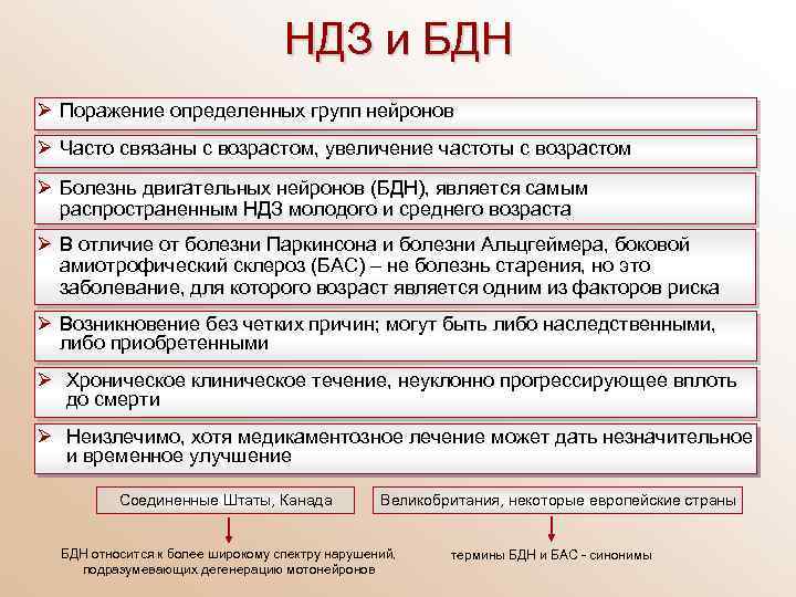 НДЗ и БДН Ø Поражение определенных групп нейронов Ø Часто связаны с возрастом, увеличение