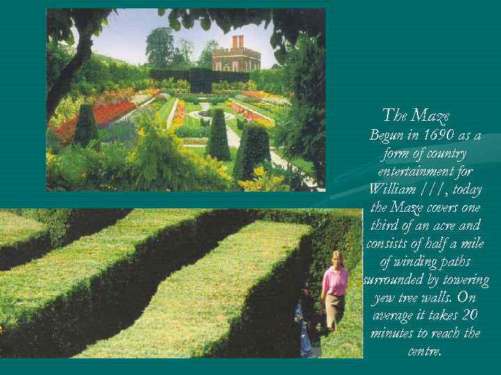 The Maze Begun in 1690 as a form of country entertainment for William ///,