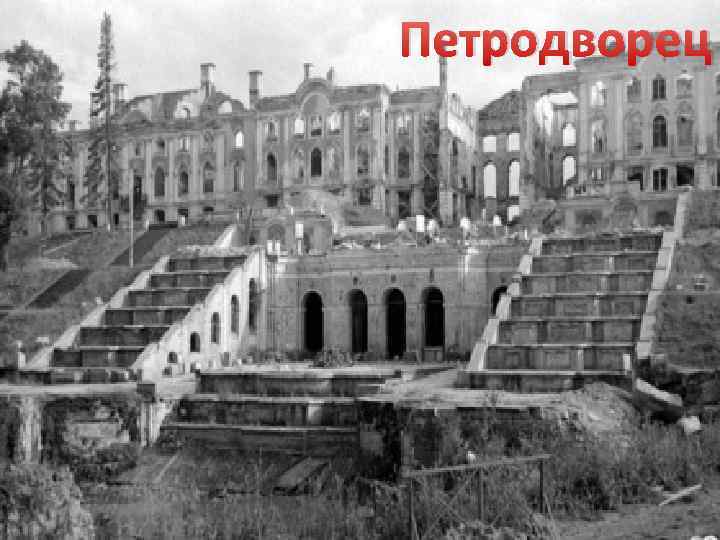 Петродворец 