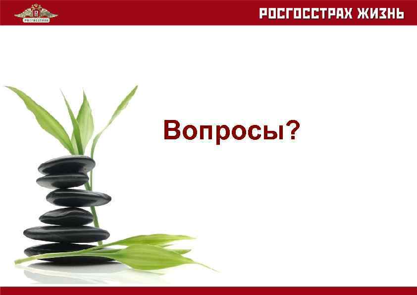 Вопросы? 