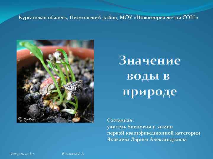 Курганская область, Петуховский район, МОУ «Новогеоргиевская СОШ» Значение воды в природе Составила: учитель биологии