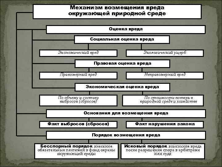 Механизм возмещения вреда окружающей природной среде Оценка вреда Социальная оценка вреда Экономический вред Экологический