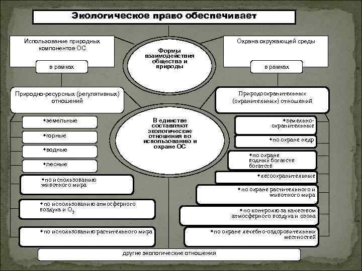 Компоненты природной среды природные объекты. Схемы по экологическому праву. Экологическое право схема. Экологическое право обеспечивает. Экологическое законодательство схема.