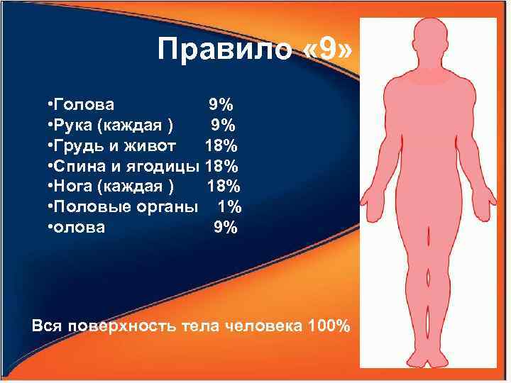 Правило « 9» • Голова 9% • Рука (каждая ) 9% • Грудь и