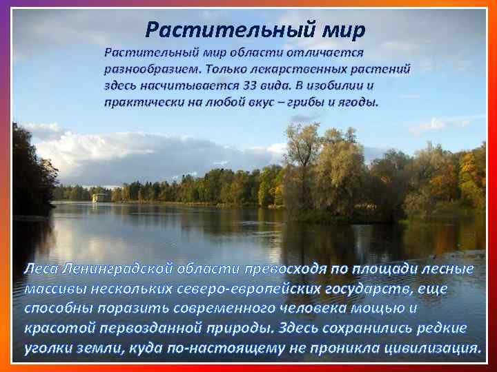 Проект разнообразие природы родного края 3 класс по окружающему миру санкт петербург