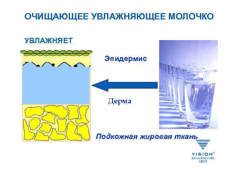 ОЧИЩАЮЩЕЕ УВЛАЖНЯЮЩЕЕ МОЛОЧКО УВЛАЖНЯЕТ Эпидермис Дерма Подкожная жировая ткань 