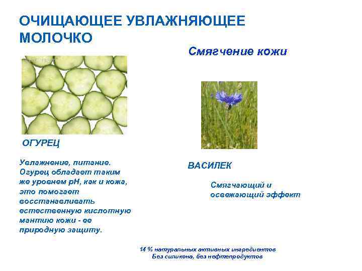 ОЧИЩАЮЩЕЕ УВЛАЖНЯЮЩЕЕ МОЛОЧКО Смягчение кожи ОГУРЕЦ Увлажнение, питание. Огурец обладает таким же уровнем р.