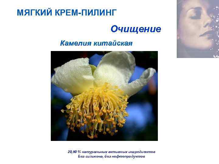 МЯГКИЙ КРЕМ-ПИЛИНГ Очищение Камелия китайская 20, 50 % натуральных активных ингредиентов Без силикона, без