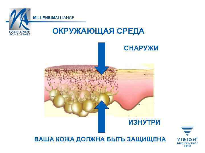 ОКРУЖАЮЩАЯ СРЕДА СНАРУЖИ ИЗНУТРИ ВАША КОЖА ДОЛЖНА БЫТЬ ЗАЩИЩЕНА 