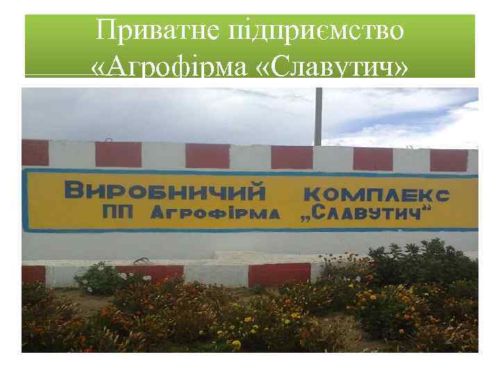 Приватне підприємство «Агрофірма «Славутич» 