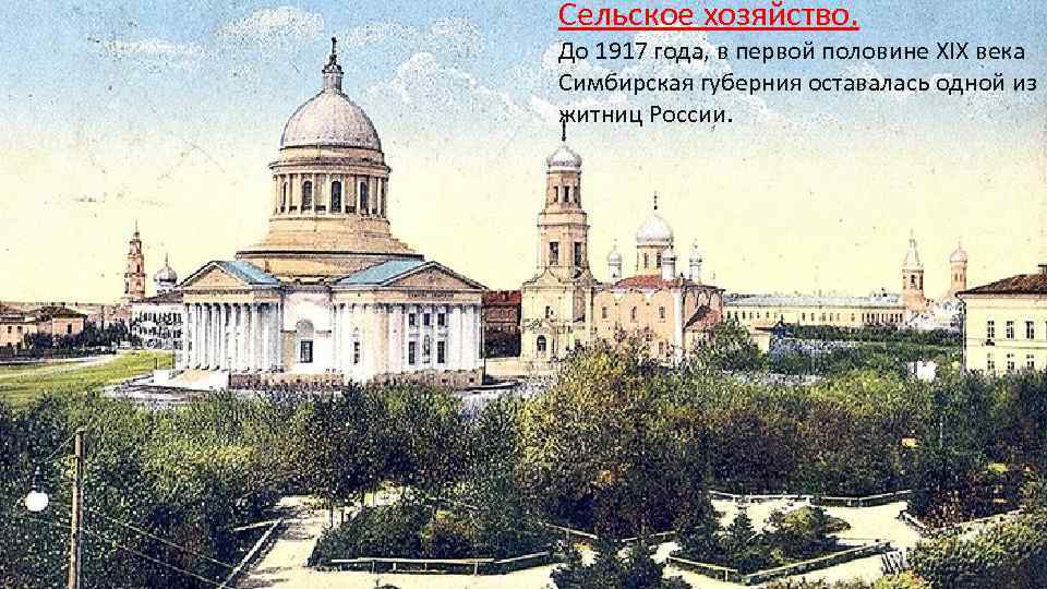 Сельское хозяйство. До 1917 года, в первой половине XIX века Симбирская губерния оставалась одной