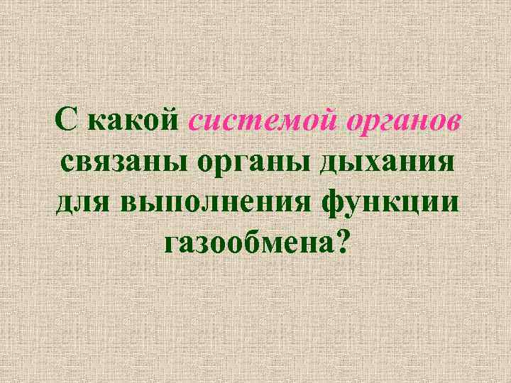 С какой системой органов связаны органы дыхания для выполнения функции газообмена? 