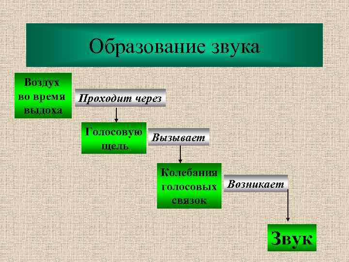 Образование звука Воздух во время выдоха Проходит через Голосовую Вызывает щель Колебания голосовых Возникает