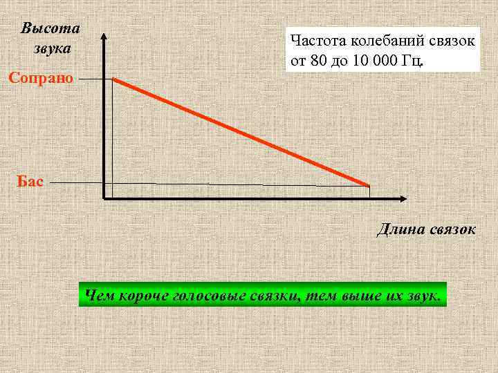 Высота звука Сопрано Частота колебаний связок от 80 до 10 000 Гц. Бас Длина