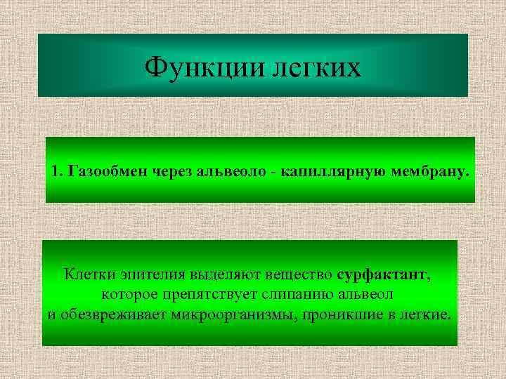 Функции легких 1. Газообмен через альвеоло - капиллярную мембрану. Клетки эпителия выделяют вещество сурфактант,