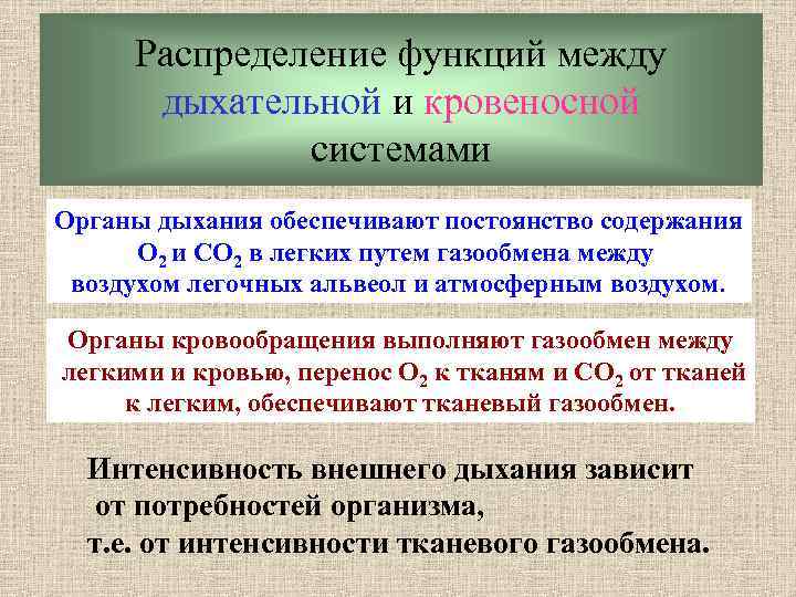 Распределение функций между дыхательной и кровеносной системами Органы дыхания обеспечивают постоянство содержания O 2