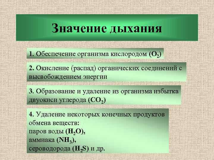 Значение дыхания 1. Обеспечение организма кислородом (О 2) 2. Окисление (распад) органических соединений с