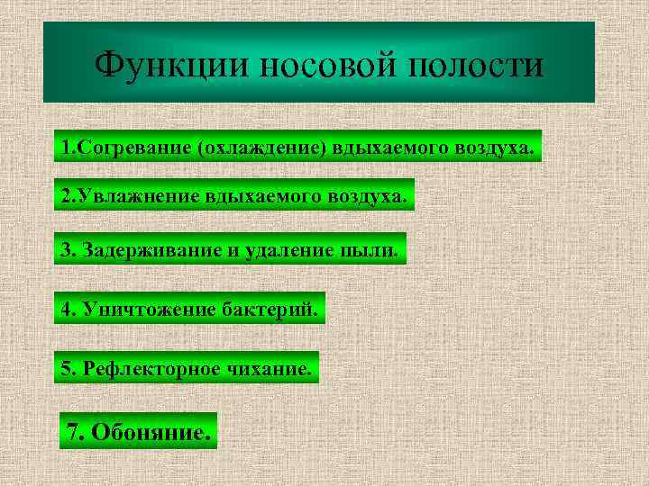 Функции носовой полости 1. Согревание (охлаждение) вдыхаемого воздуха. 2. Увлажнение вдыхаемого воздуха. 3. Задерживание