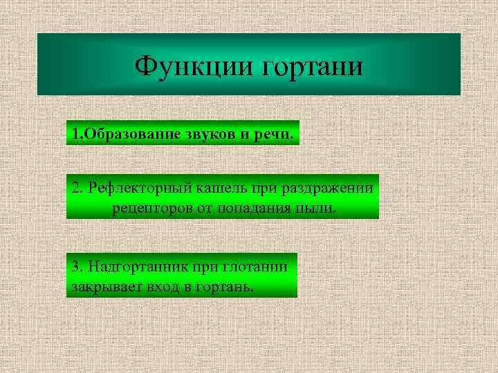 Функции гортани 1. Образование звуков и речи. 2. Рефлекторный кашель при раздражении рецепторов от