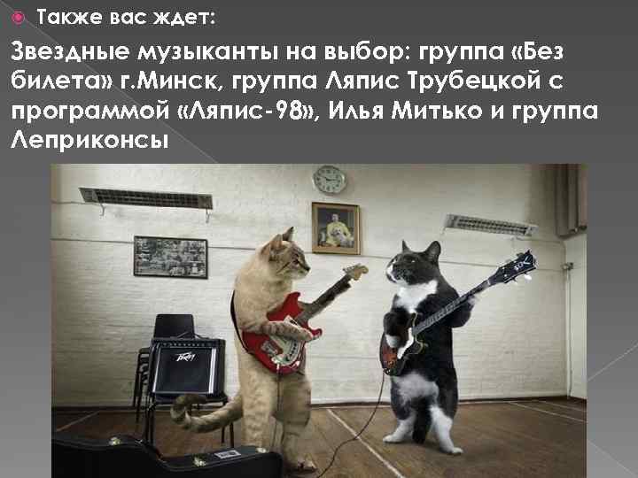  Также вас ждет: Звездные музыканты на выбор: группа «Без билета» г. Минск, группа