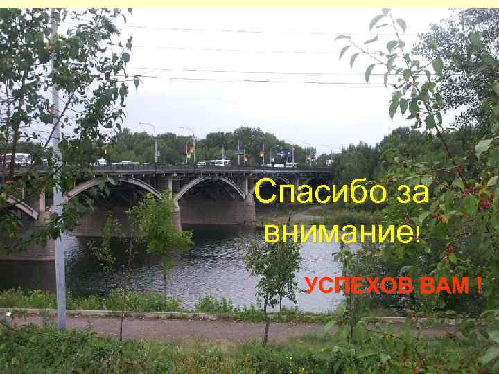 Спасибо за внимание! УСПЕХОВ ВАМ ! 