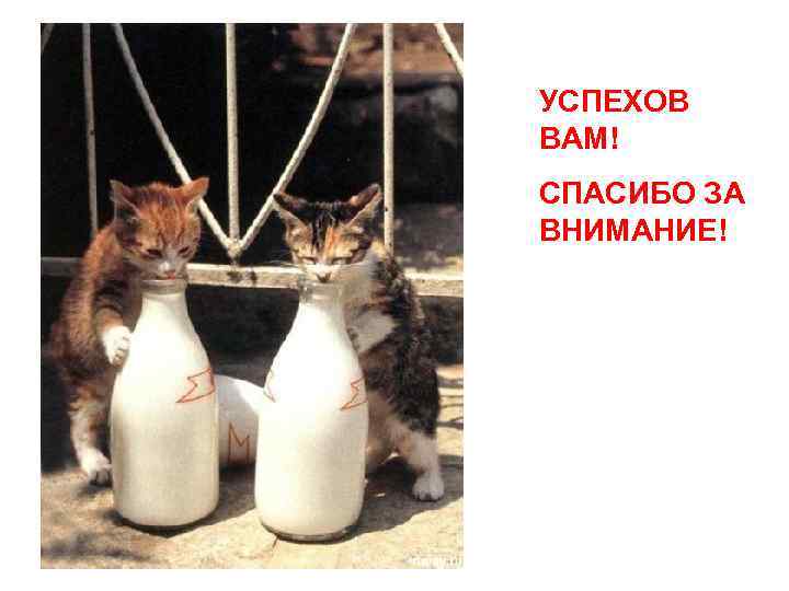 УСПЕХОВ ВАМ! СПАСИБО ЗА ВНИМАНИЕ! 