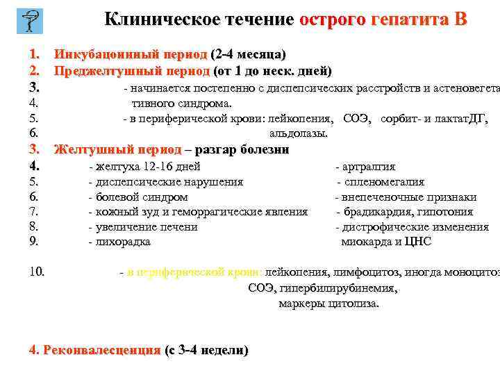 Клиническое течение острого гепатита В 1. Инкубацоинный период (2 -4 месяца) 2. Преджелтушный период