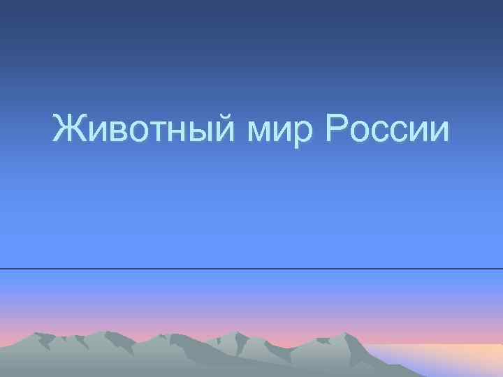 Животный мир России 