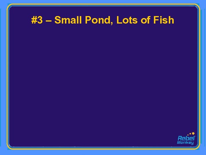 #3 – Small Pond, Lots of Fish 