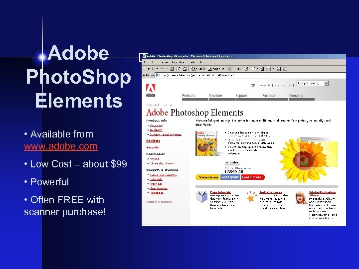  • Available from www. adobe. com • Low Cost – about $99 •