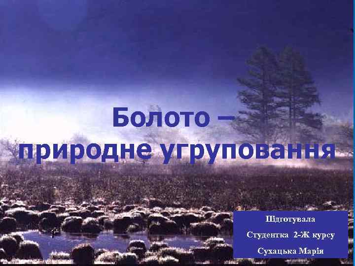 Болото – природне угруповання Підготувала Студентка 2 -Ж курсу Сухацька Марія 