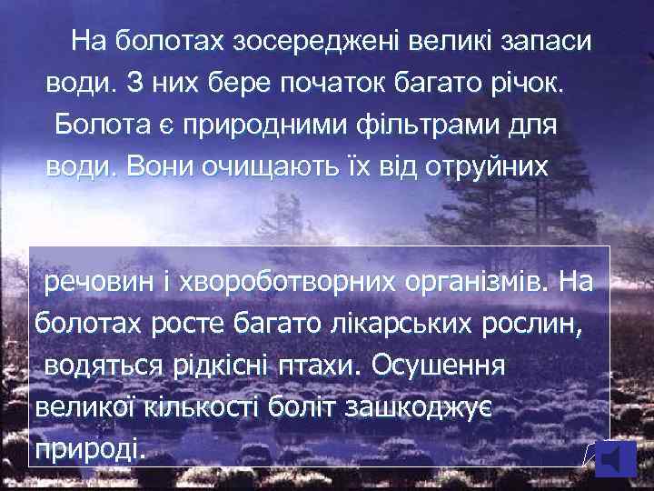 На болотах зосереджені великі запаси води. З них бере початок багато річок. Болота є