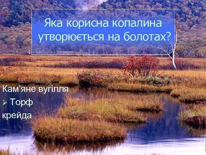 Яка корисна копалина утворюється на болотах? Кам’яне вугілля Ø Торф крейда 