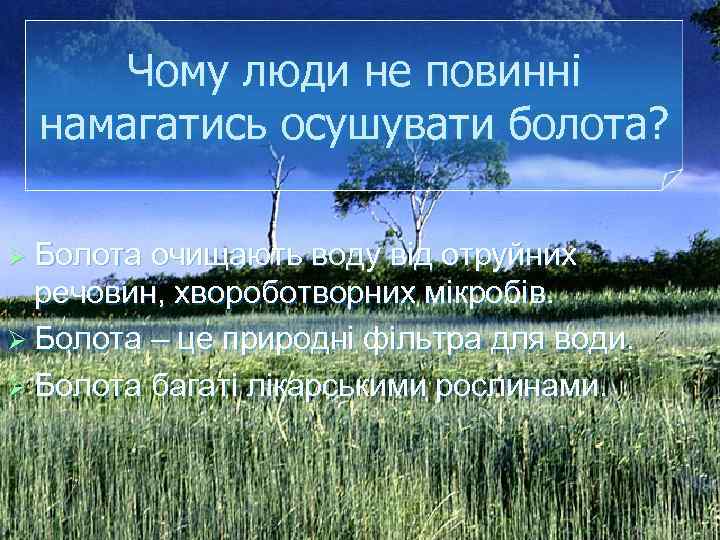 Чому люди не повинні намагатись осушувати болота? Ø Болота очищають воду від отруйних речовин,