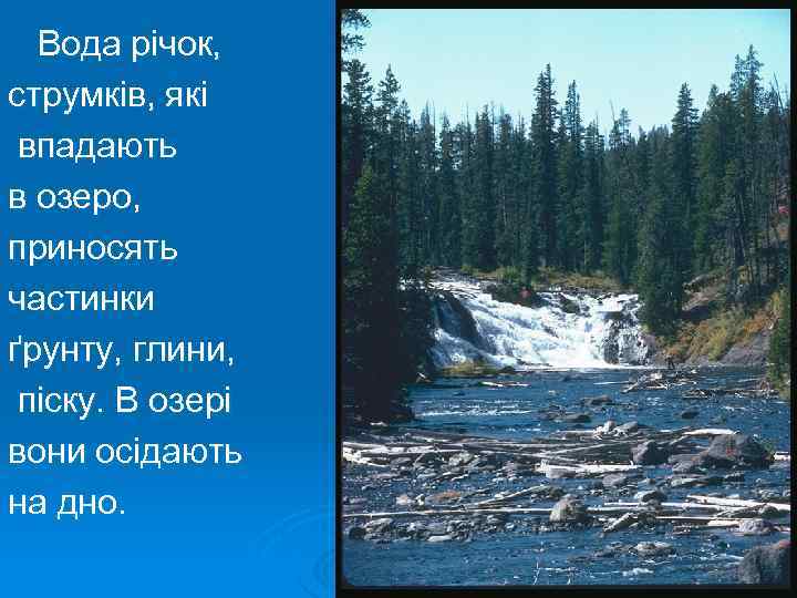 Вода річок, струмків, які впадають в озеро, приносять частинки ґрунту, глини, піску. В озері