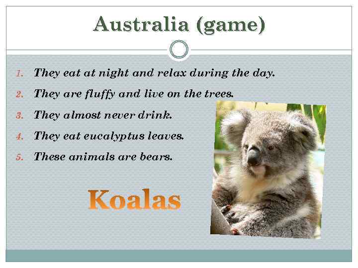 Australia (game) 1. They eat at night and relax during the day. 2. They