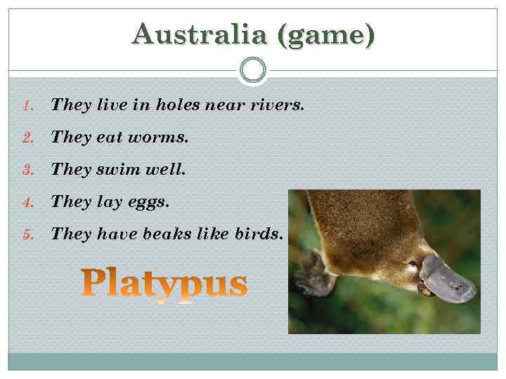 Australia (game) 1. They live in holes near rivers. 2. They eat worms. 3.