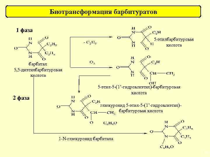 Биотрансформация барбитуратов 1 фаза 5 -этилбарбитуровая кислота барбитал 5, 5 -диэтилбарбитуровая кислота 2 фаза